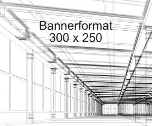 Werbebanner Größe 300x250 - Vorlage Banner-Format